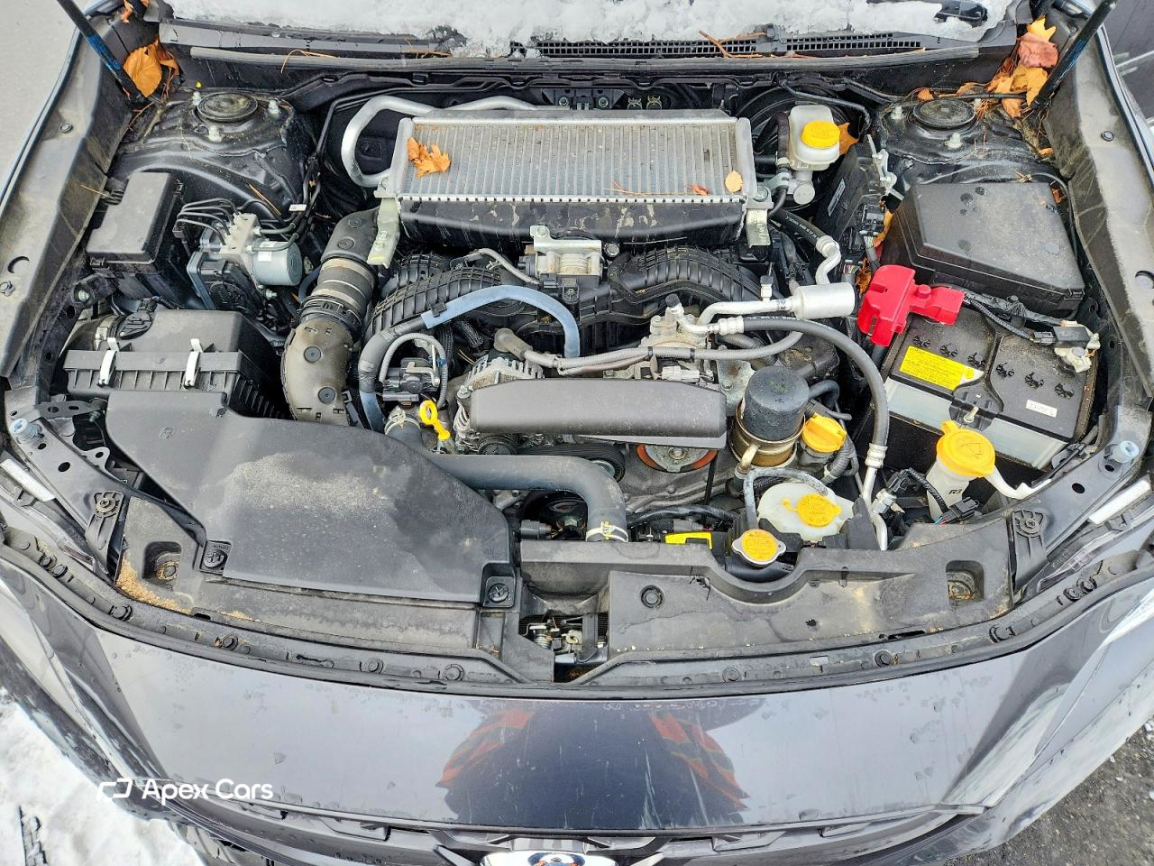 Subaru WRX 2023