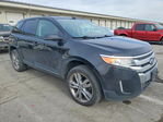 Ford Edge 2013