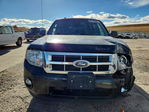 Ford Escape 2012