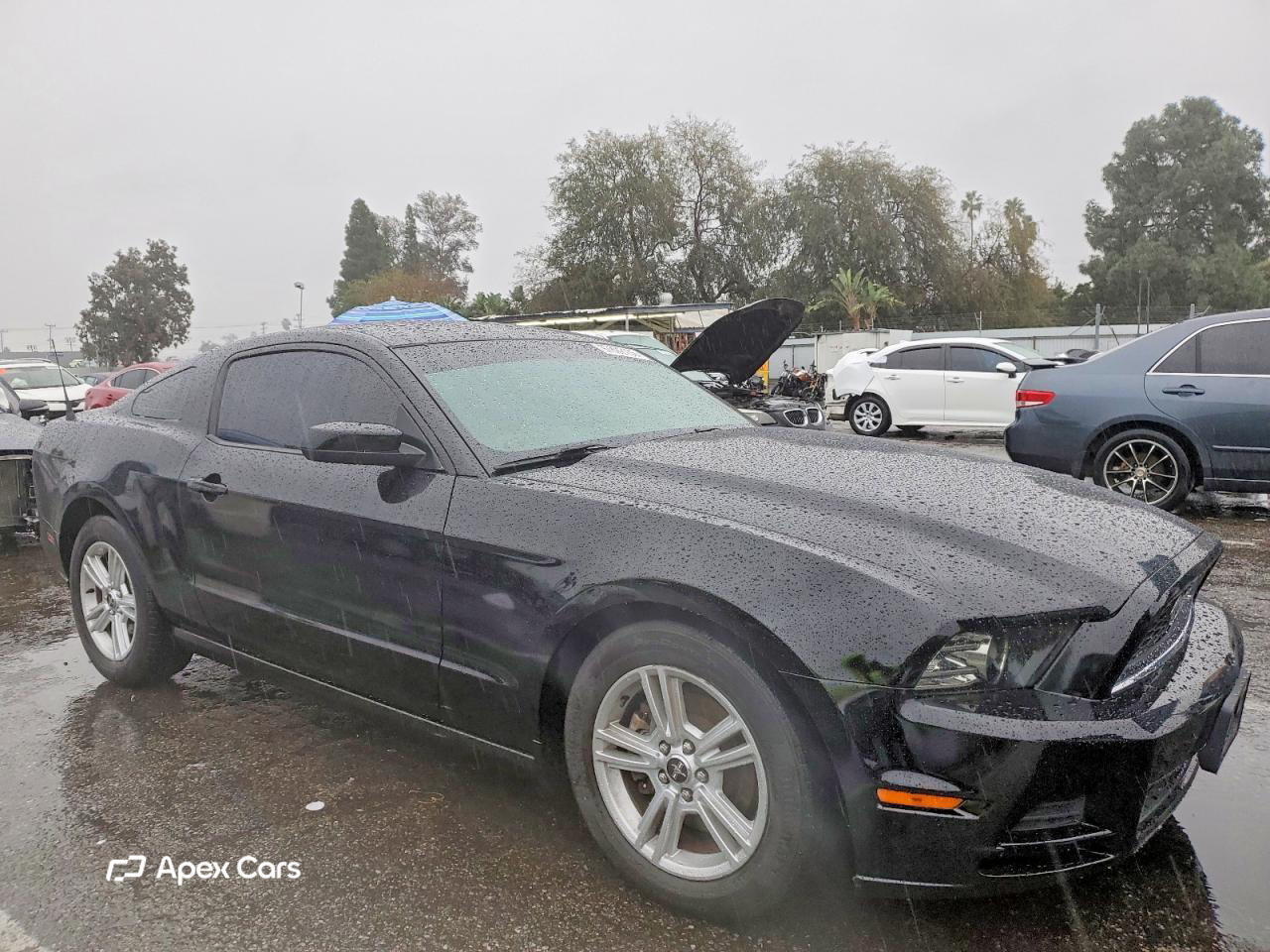 Ford Mustang 2013