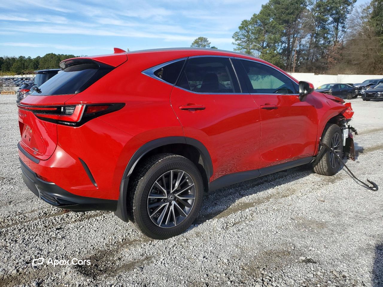 Lexus NX 2024
