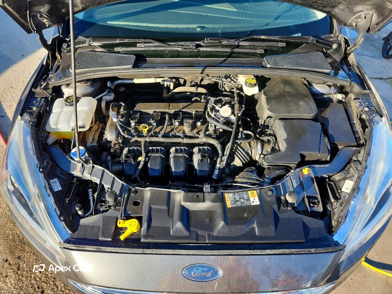 Ford Focus 2017