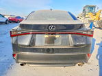 Lexus IS 2022