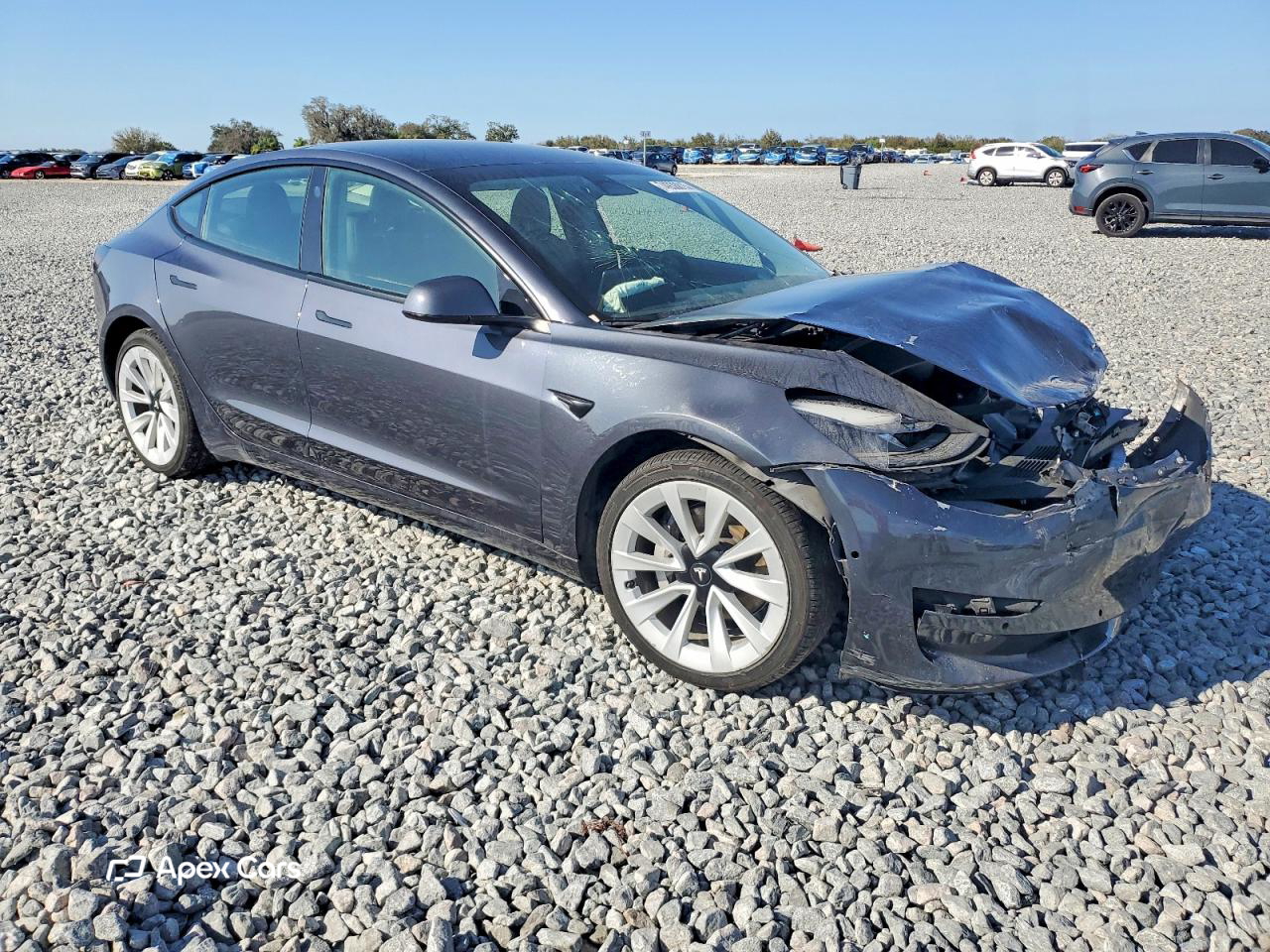 Tesla Model 3 2022