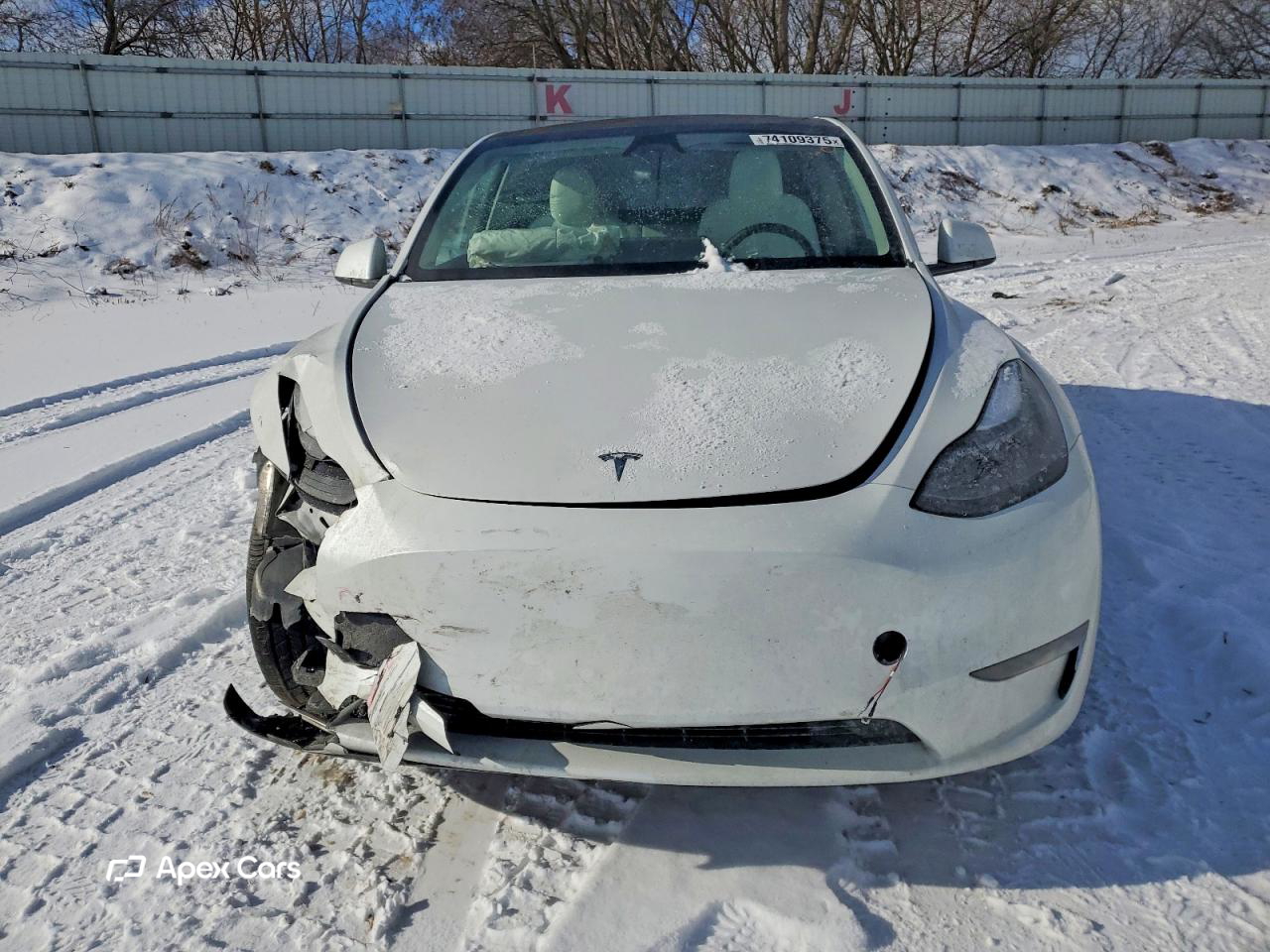 Tesla Model Y 2024