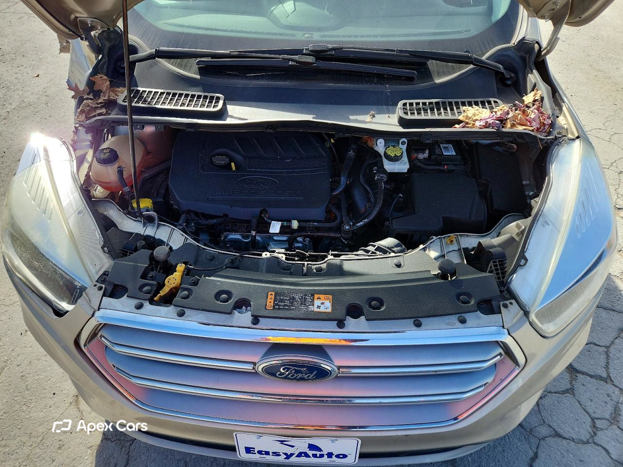 Ford Escape 2017