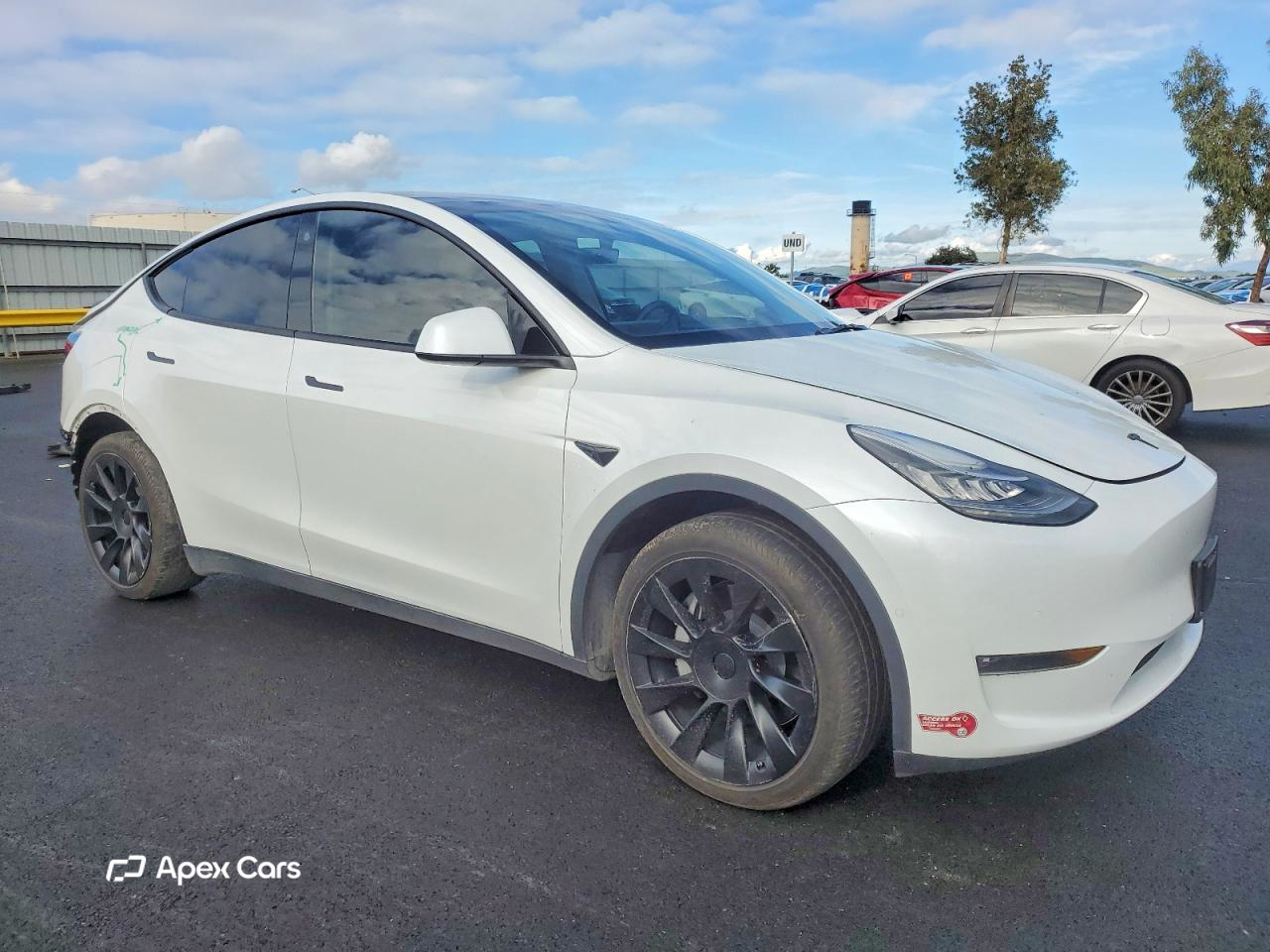 Tesla Model Y 2021