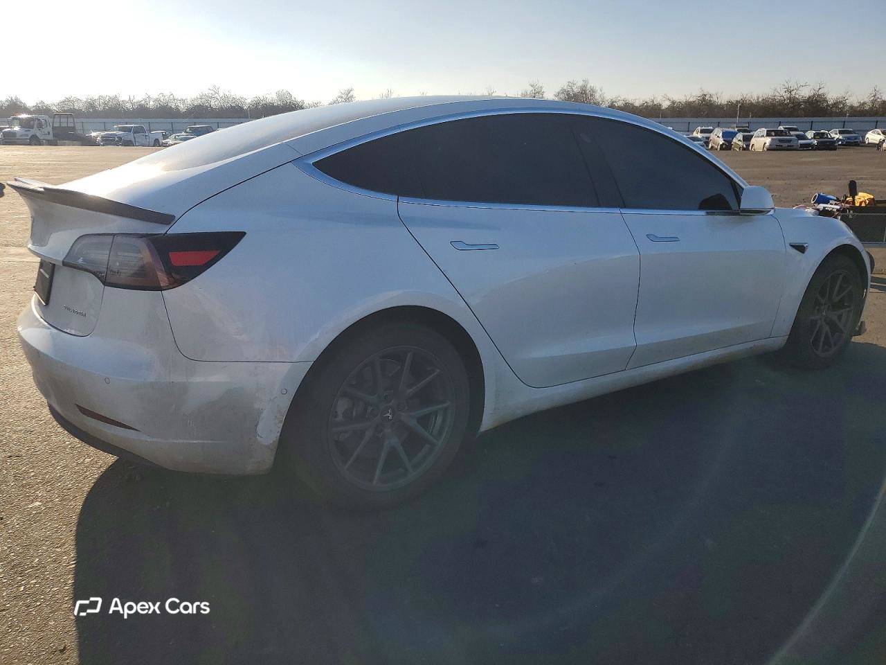 Tesla Model 3 2019