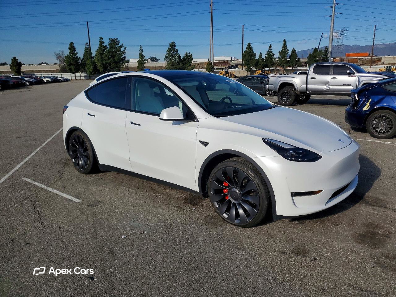 Tesla Model Y 2024