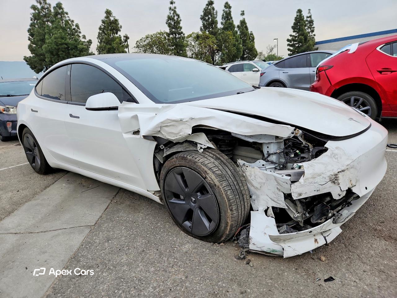 Tesla Model 3 2021