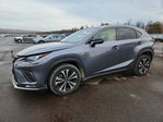Lexus NX 2021