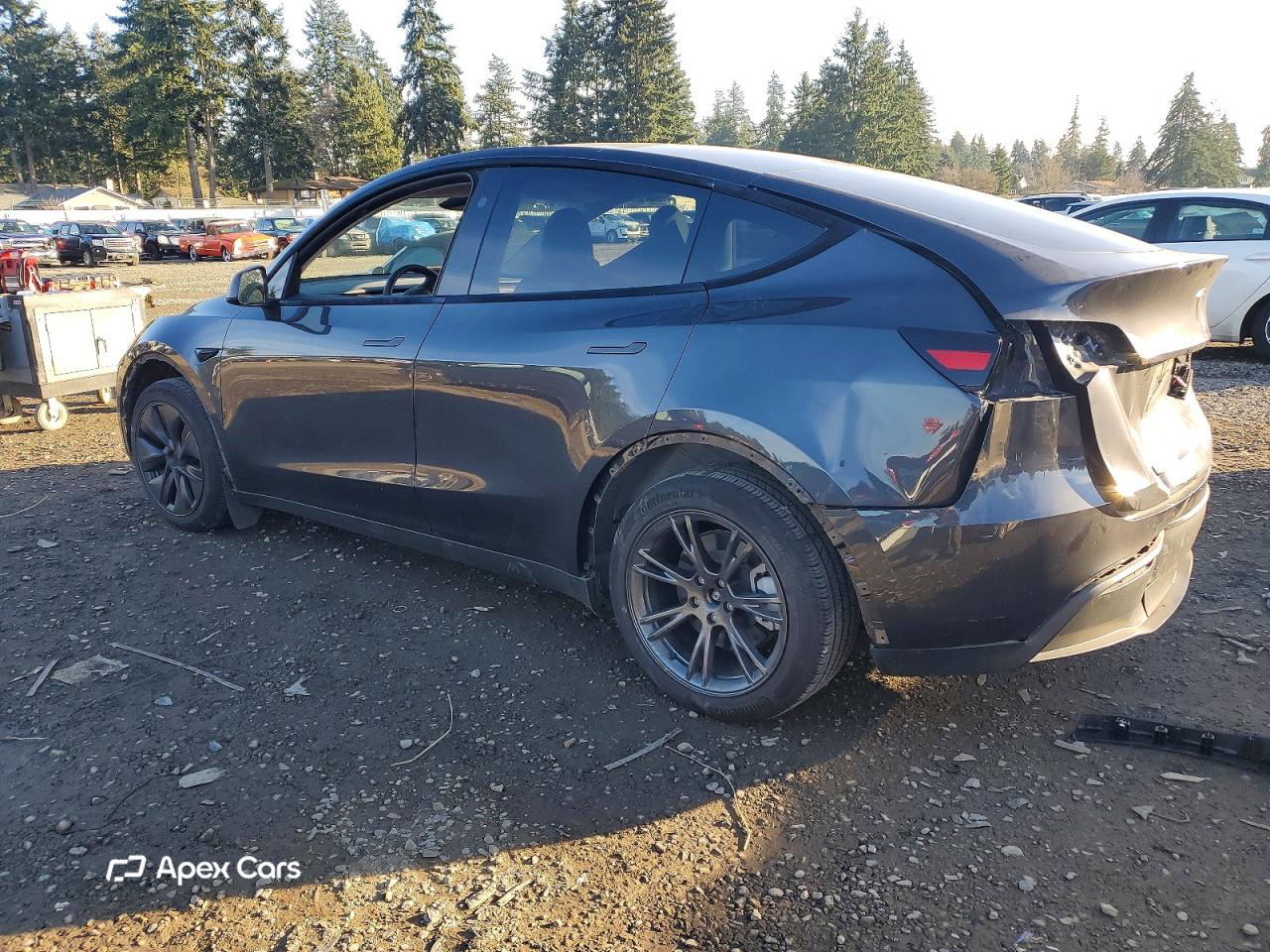 Tesla Model Y 2024