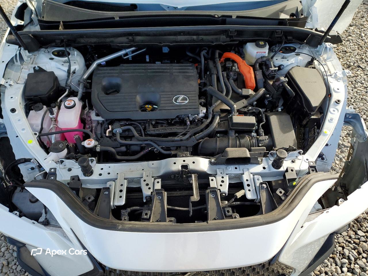 Lexus NX 2025