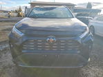 Toyota RAV 4 2025