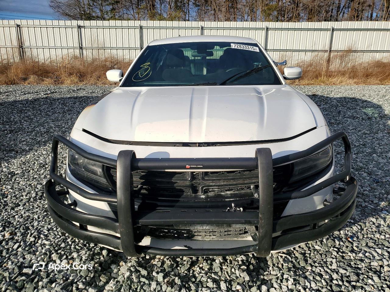Dodge Charger 2019