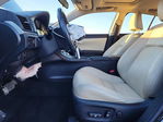Lexus CT 2013