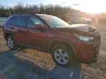 Toyota RAV 4 2021