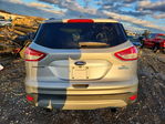 Ford Escape 2016
