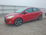Ford Focus 2013