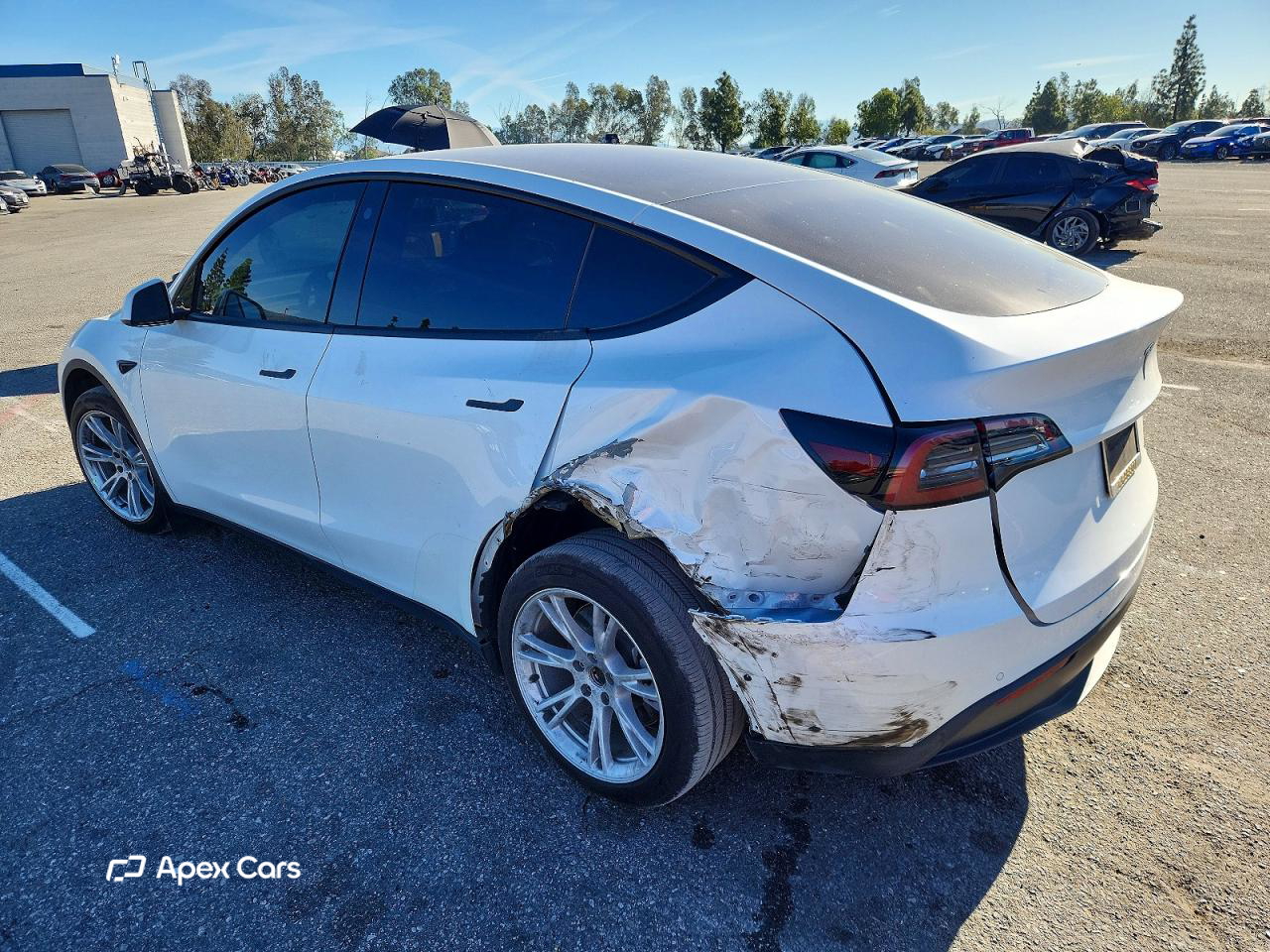 Tesla Model Y 2021