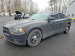 Dodge Charger 2014