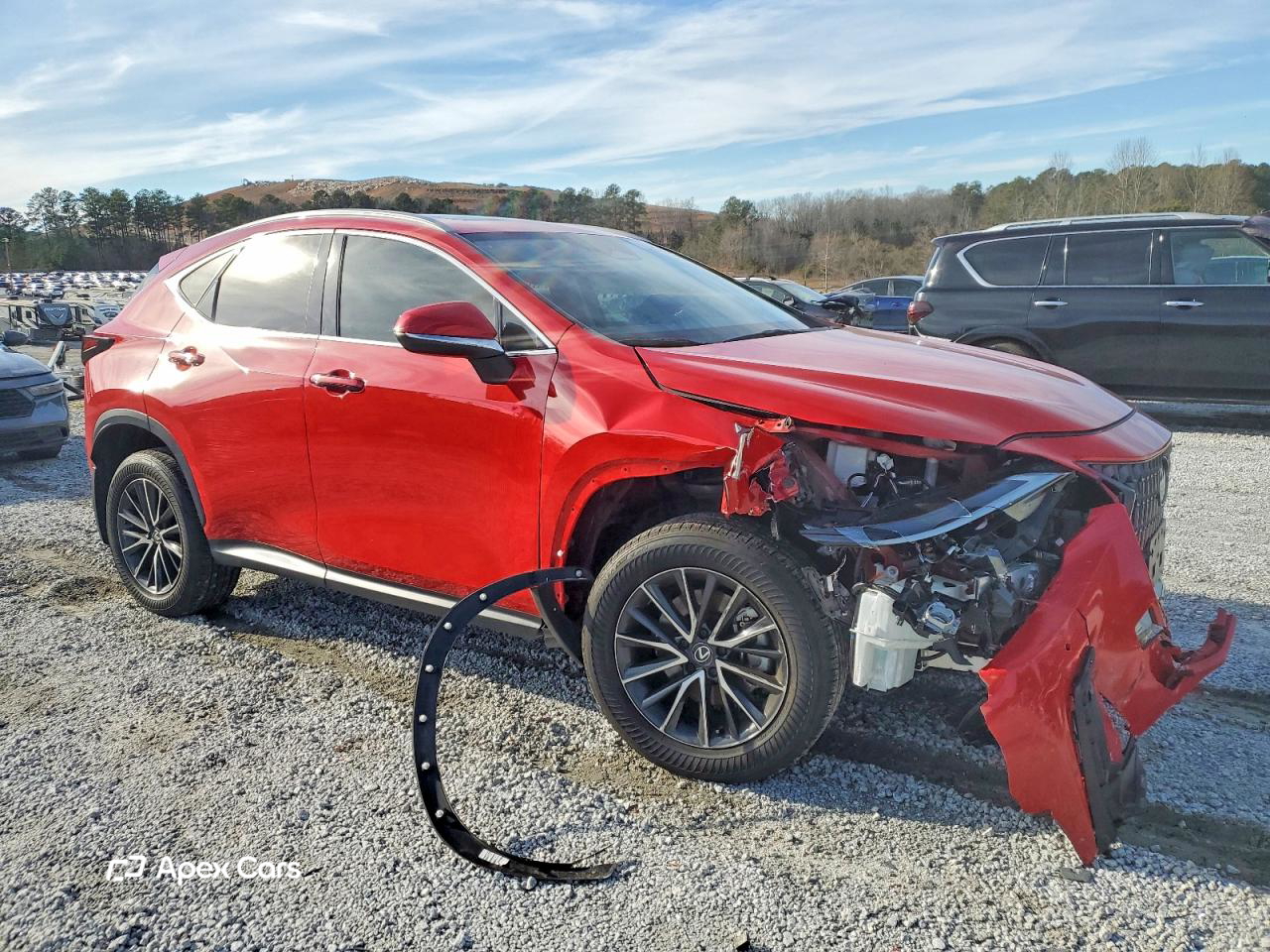 Lexus NX 2024