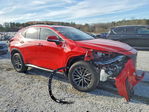 Lexus NX 2024