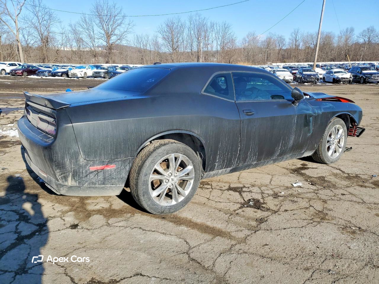 Dodge Challenger 2023