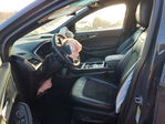 Ford Edge 2021