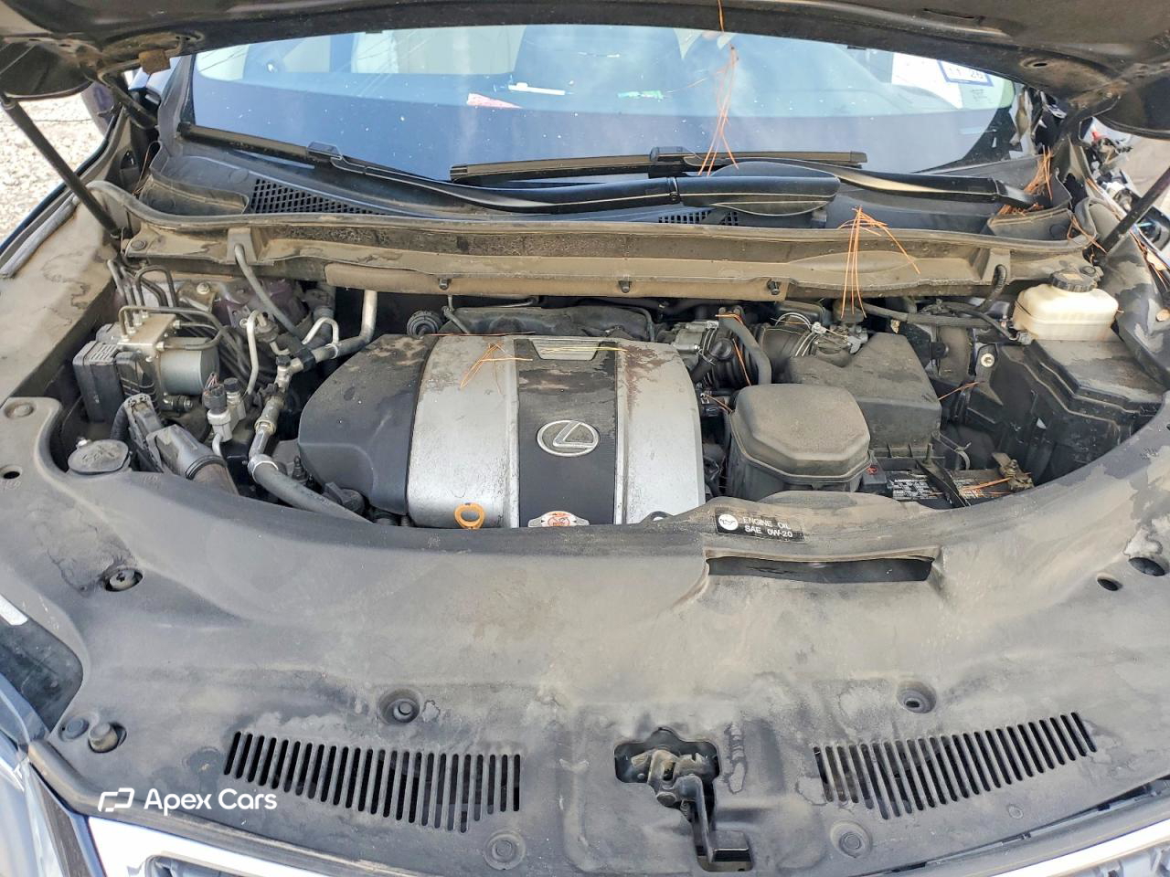 Lexus RX 2021