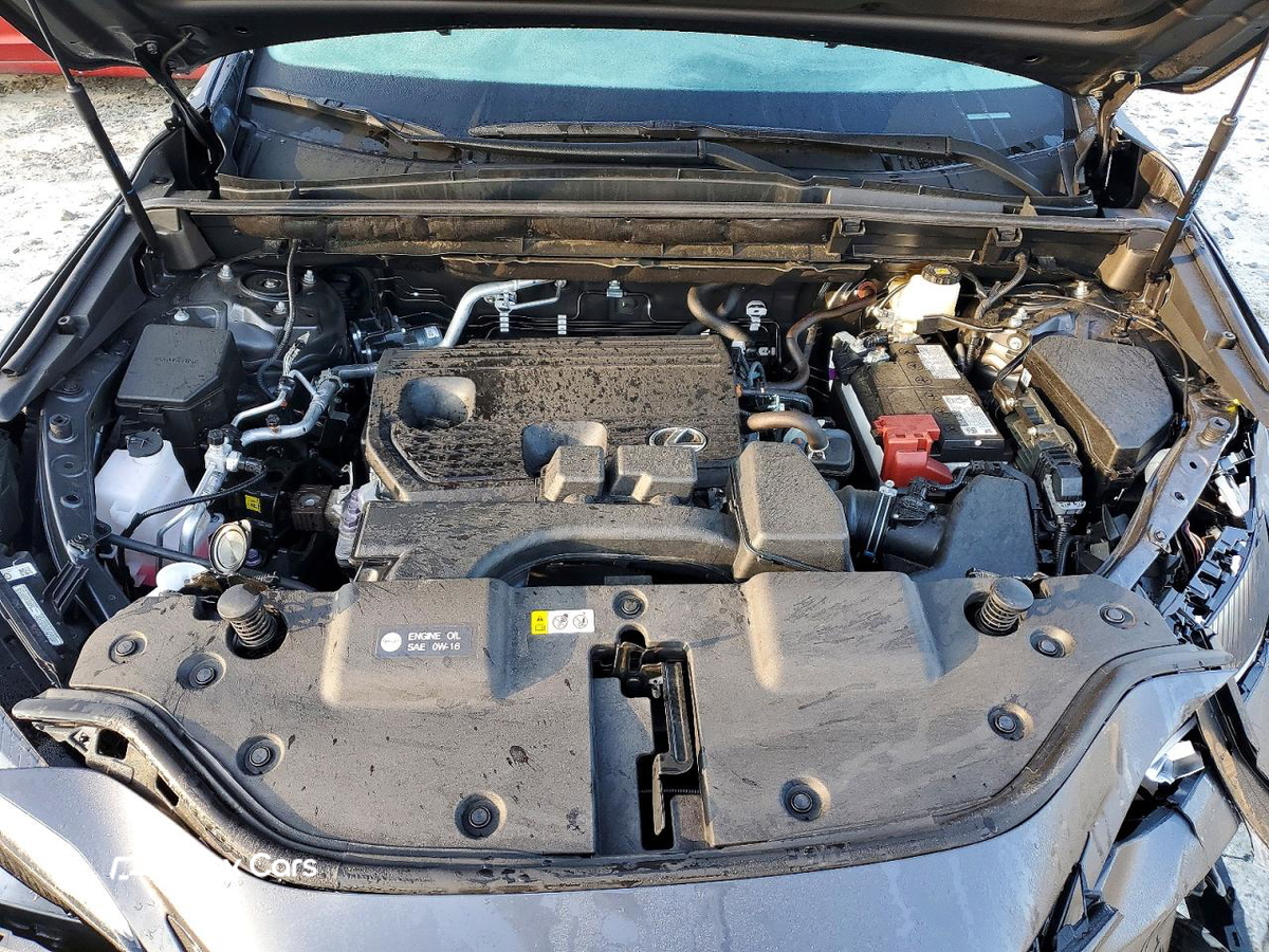 Lexus NX 2025
