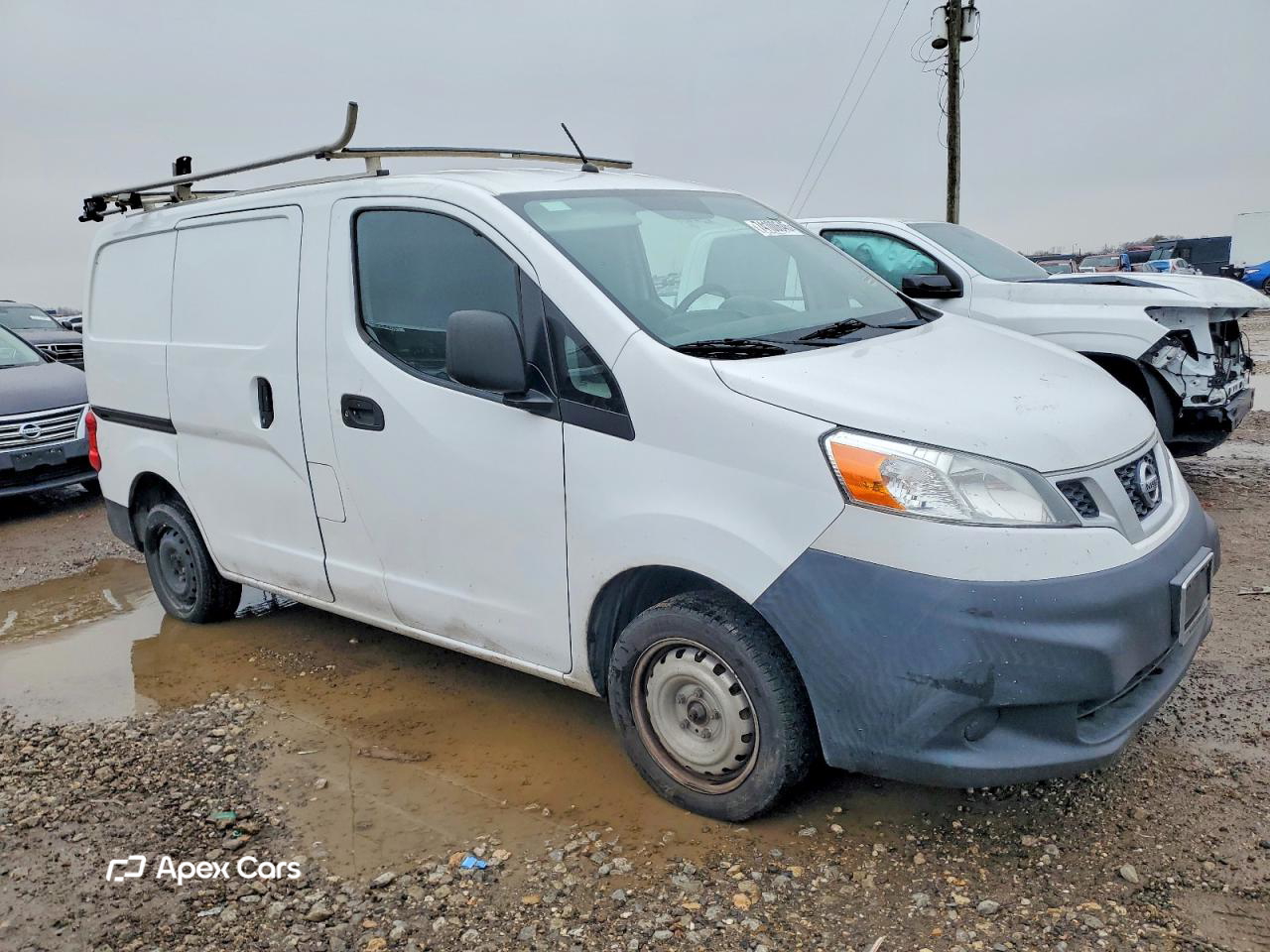 NV 2019