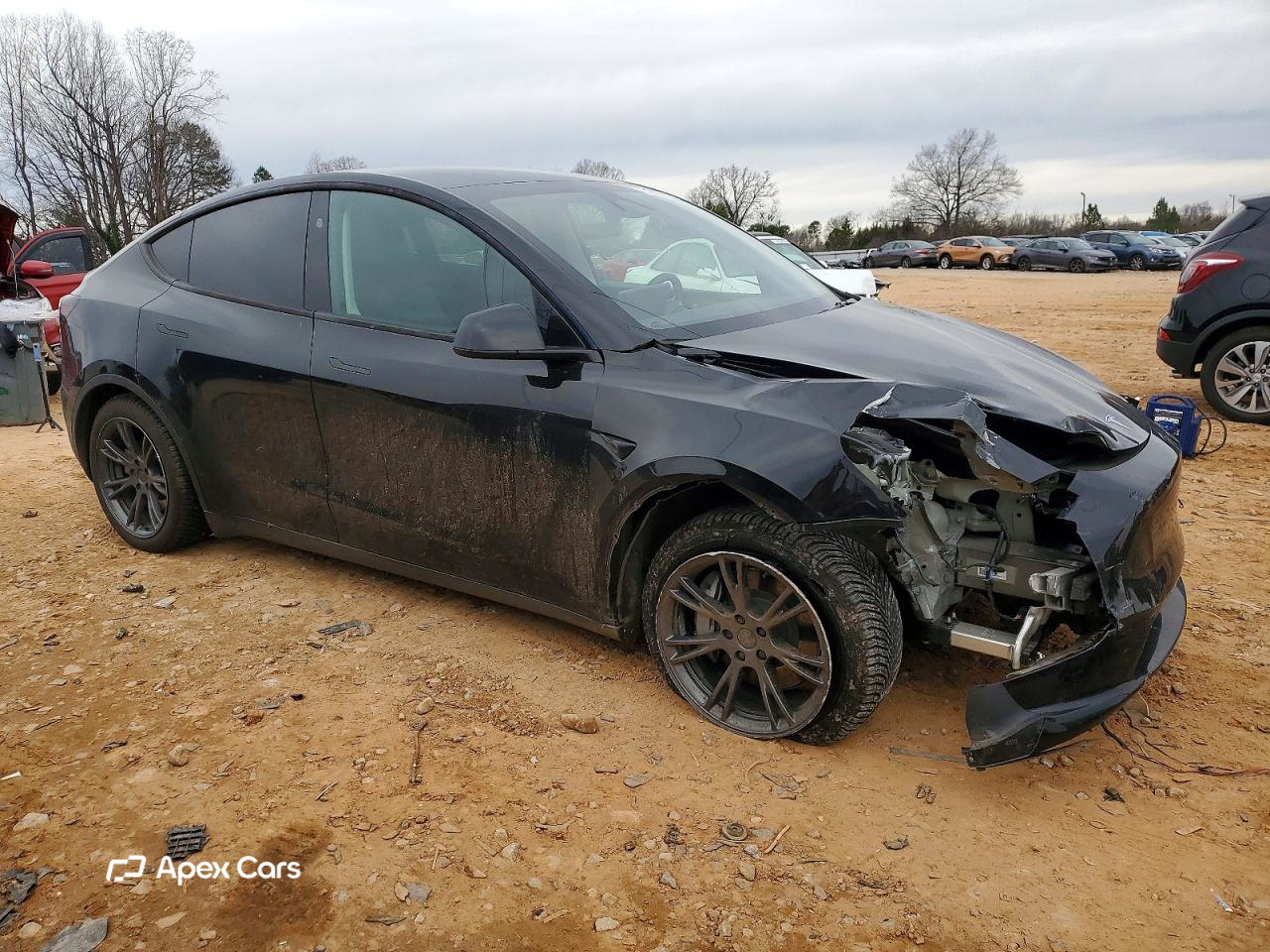 Tesla Model Y 2025