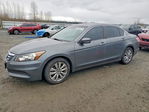 Honda Accord 2012