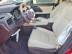 Lexus RX 2020