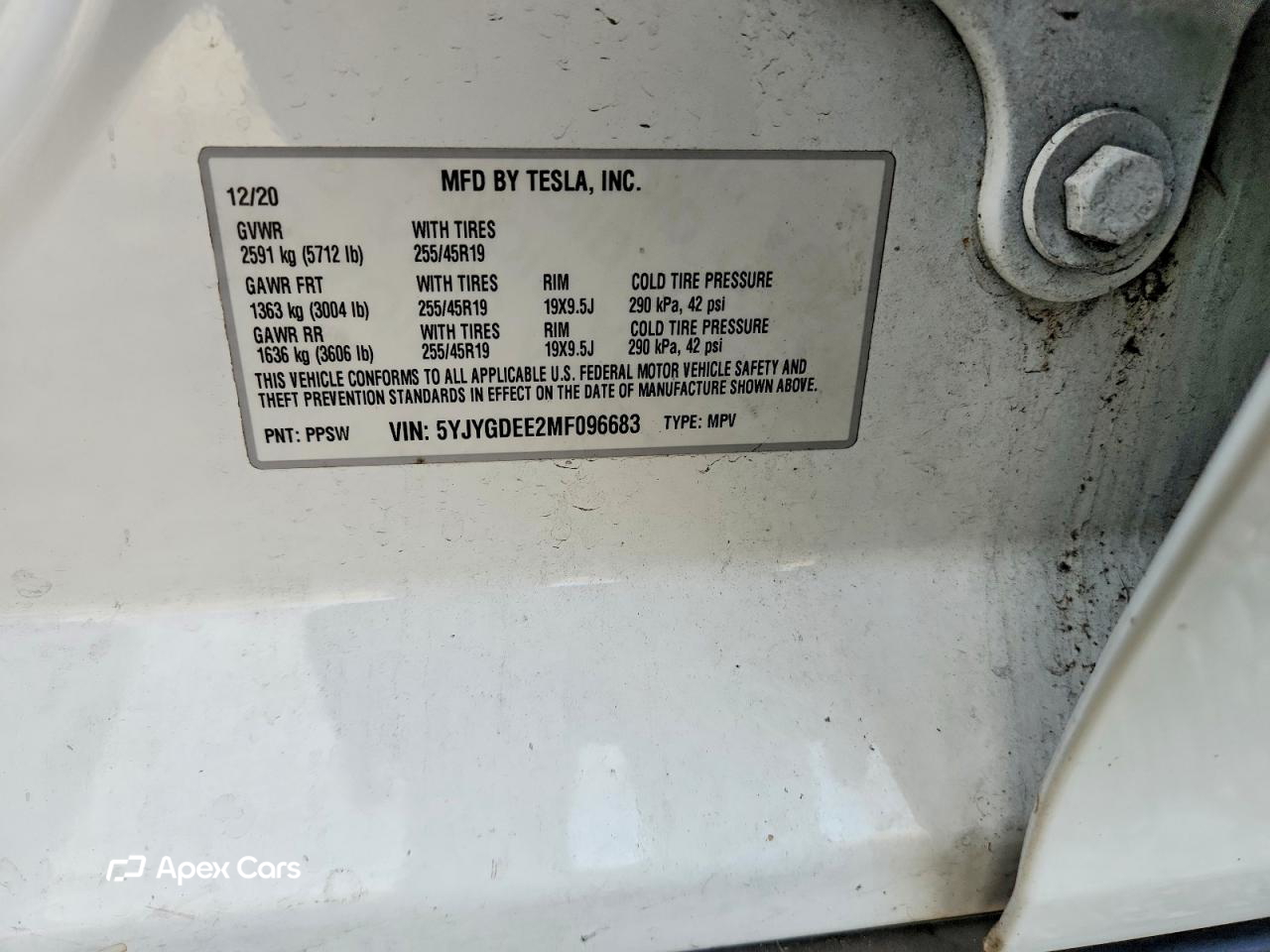Tesla Model Y 2021