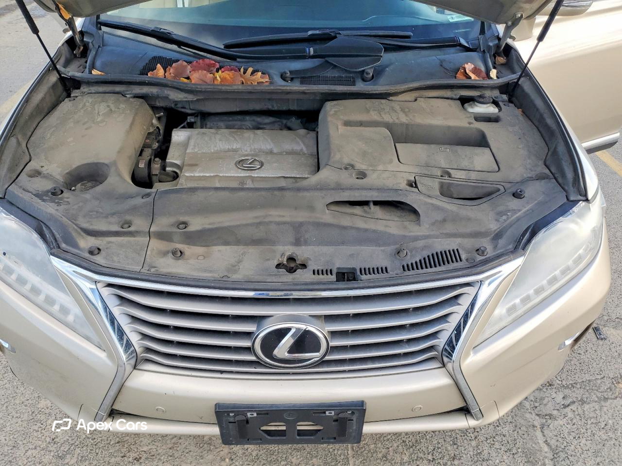 Lexus RX 2013