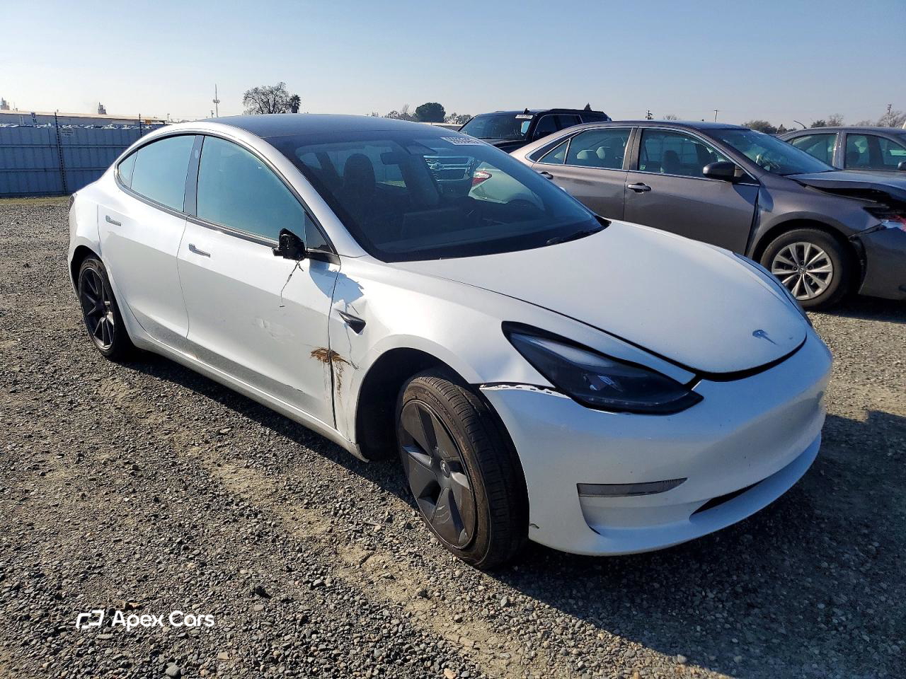 Tesla Model 3 2023
