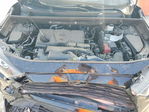 Toyota RAV 4 2021