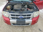 Ford Escape 2010