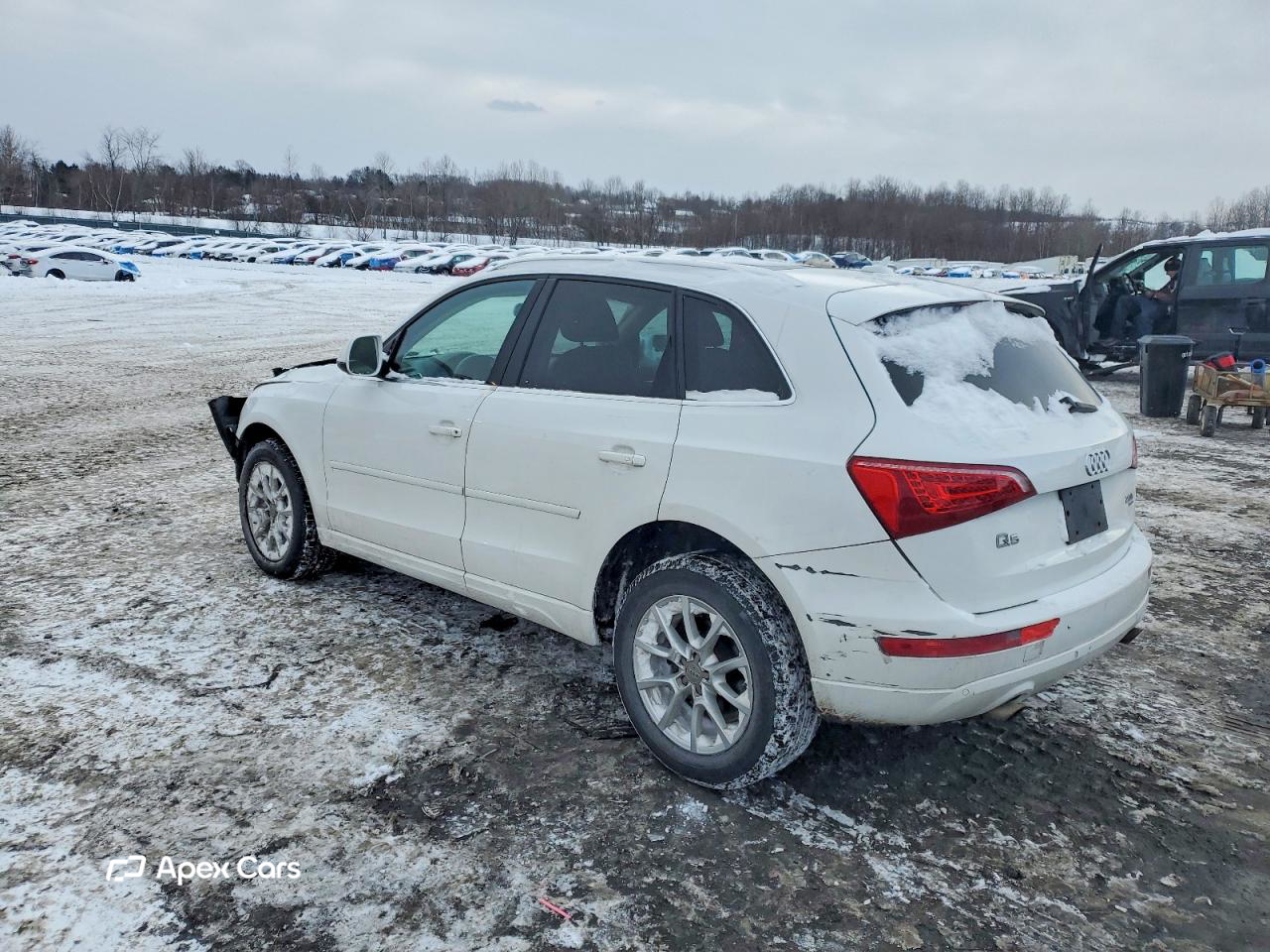 Audi Q5 2011