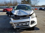Ford Escape 2016