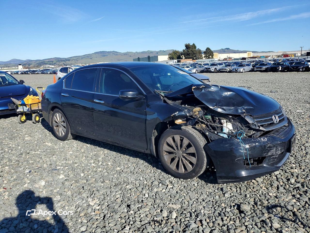 Honda Accord 2013