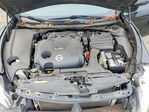 Nissan Maxima 2014