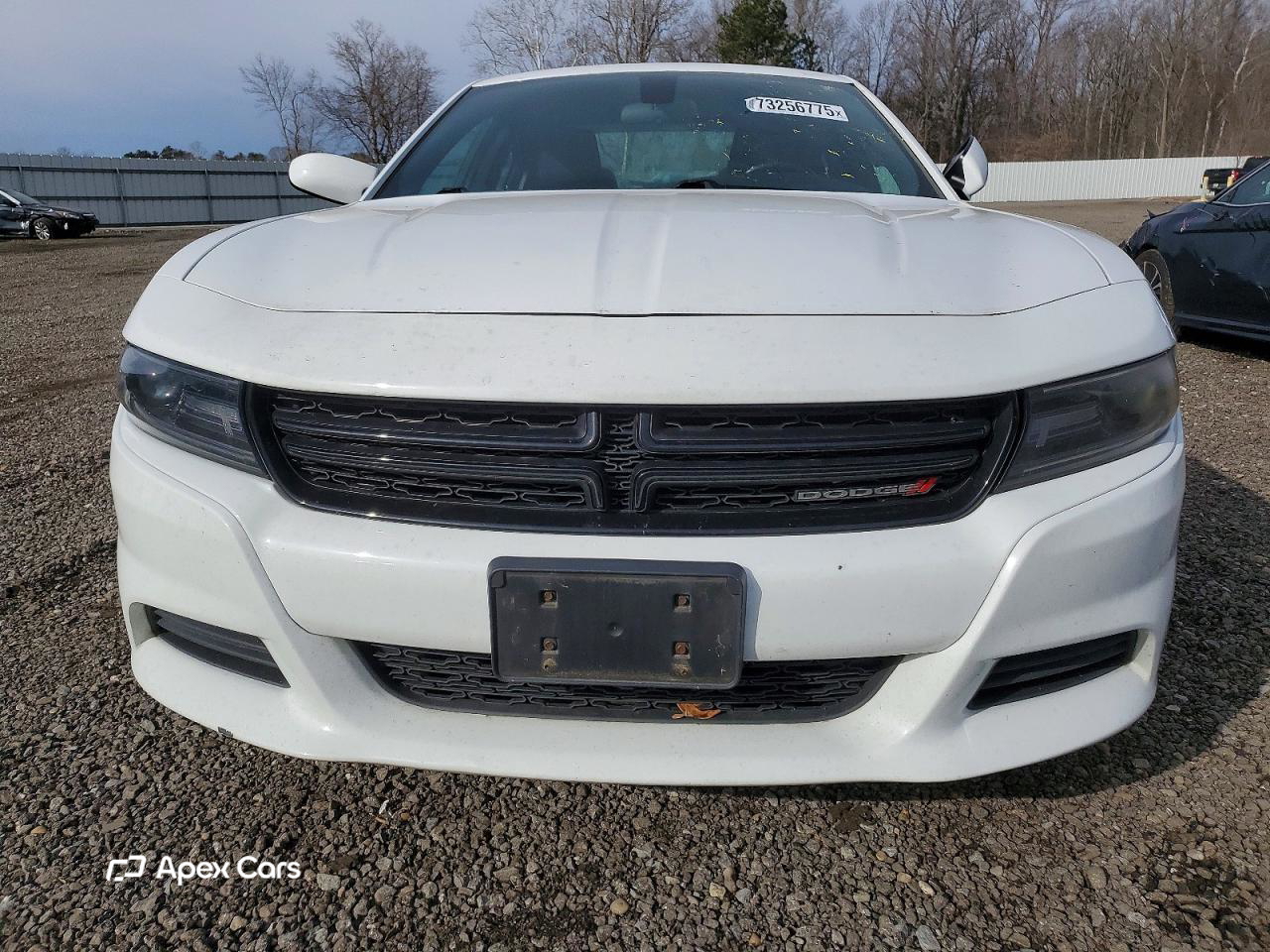 Dodge Charger 2019