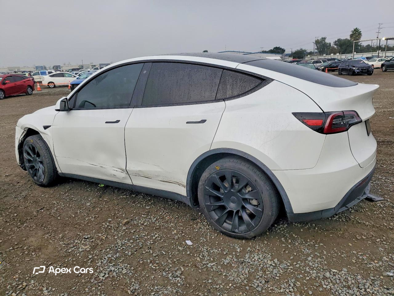Tesla Model Y 2020