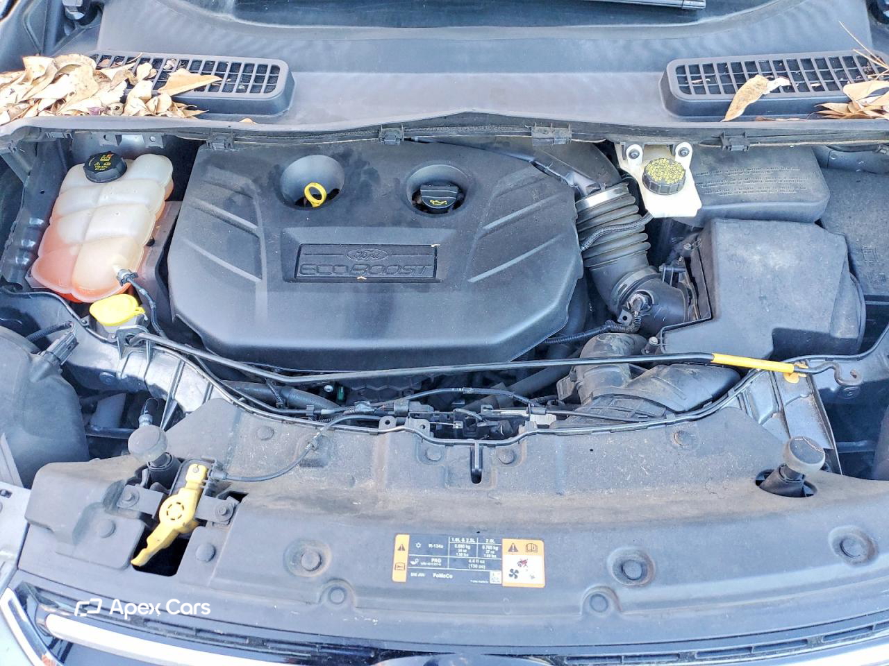 Ford Escape 2014