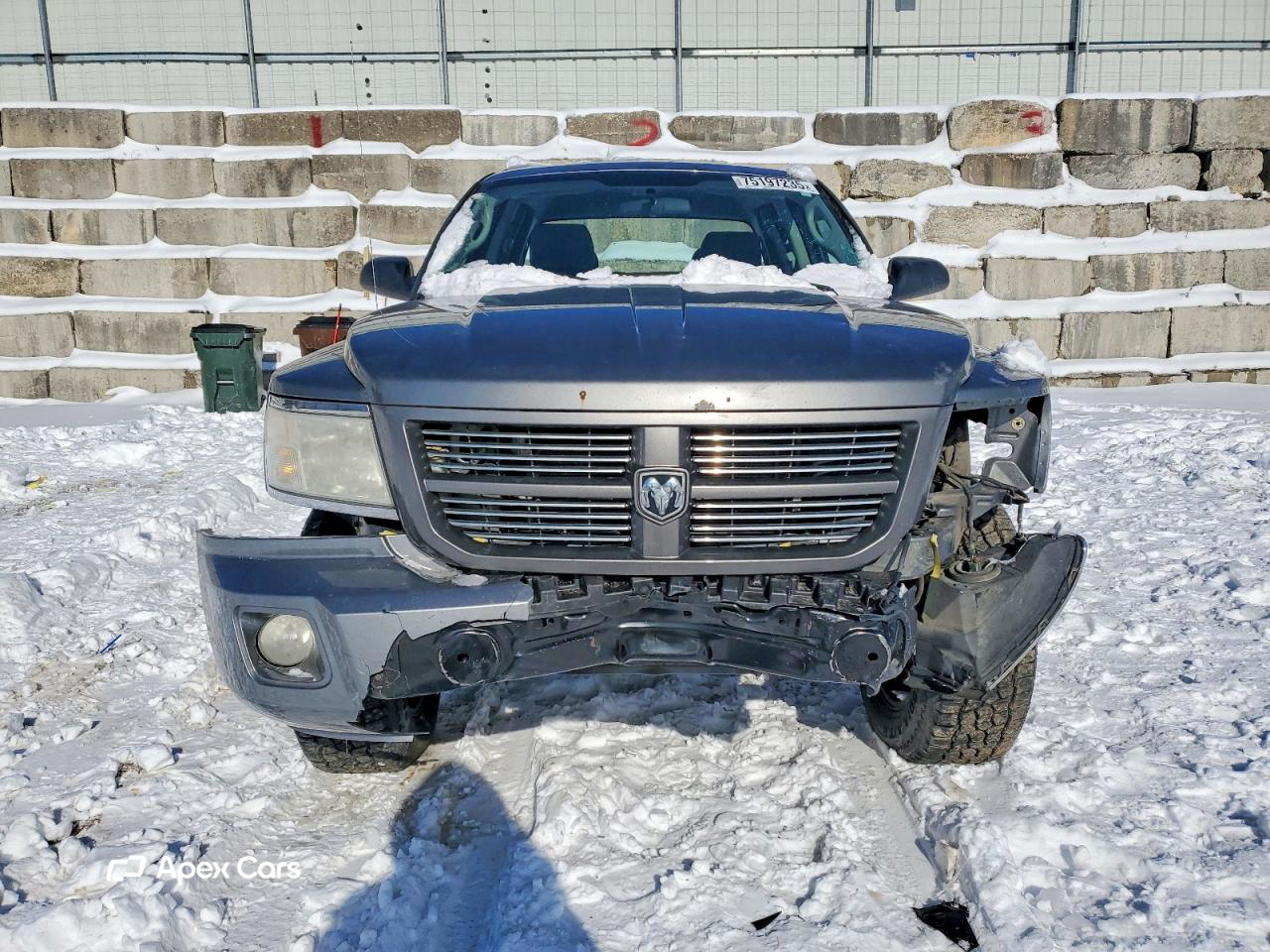 Dodge Dakota 2010