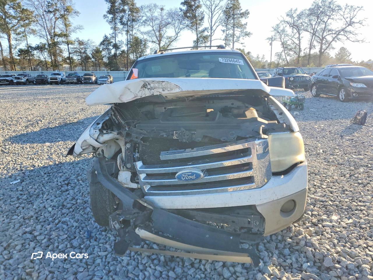 Ford Expedition 2007