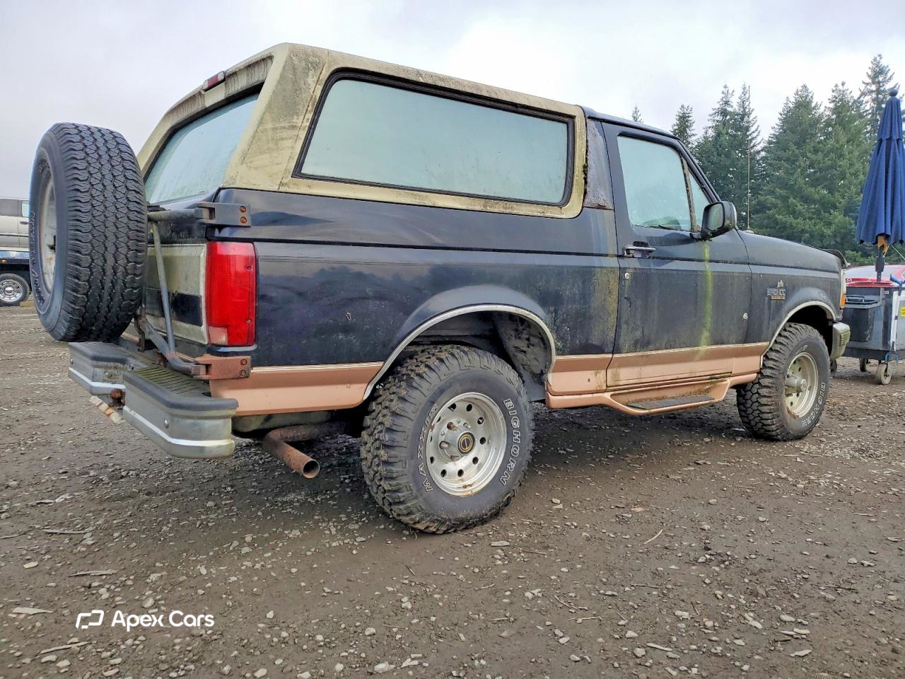 Ford Bronco 1995